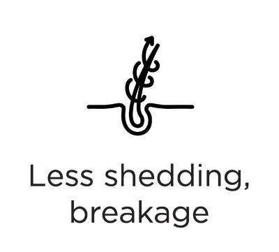 files/lessshed-04.png